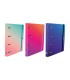ARCHIVADOR OXFORD EUROBINDER GRADIENT A4+ CON RECAMBIO 5x5mm