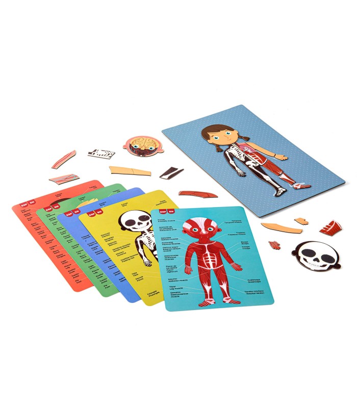 JUEGO MAGNETICO EL CUERPO HUMANO APLI