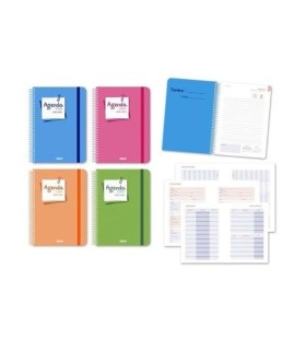 AGENDA ESCOLAR POST-IT 4º DIA PAGINA INGRAF CURSO 25-26 - VARIOS COLORES