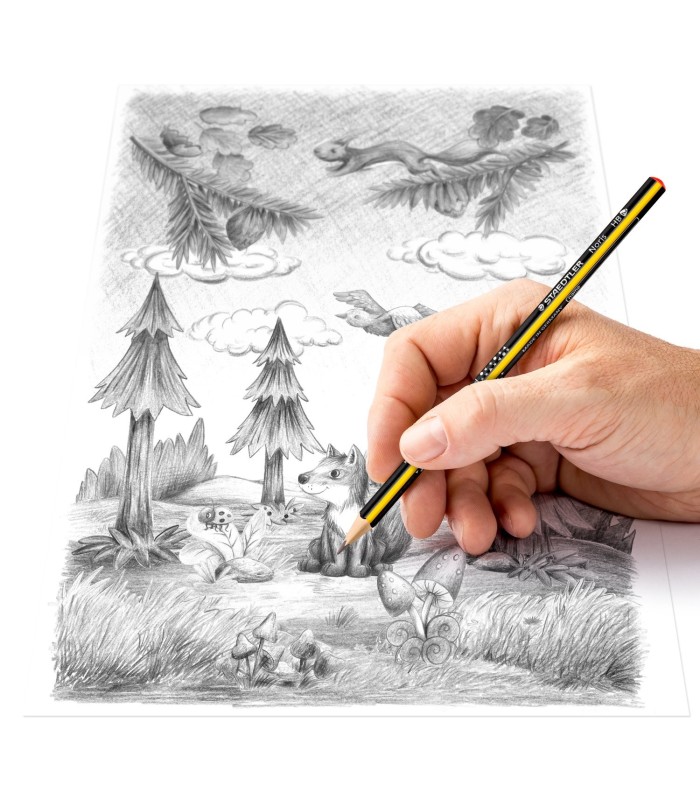 LAPIZ TRIANGULAR SLIM TRIPLUS FINO STAEDTLER NORIS Nº2 HB