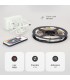 PACK TIRA LED 3 METROS 7,2W-M LUZ RGB SMD5050 IP20 GSC EVOLUTION