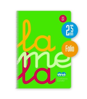 CUADERNO FOLIO 2 5mm LAMELA TAPA PLASTICO VERDE 80 HOJAS 90gr 