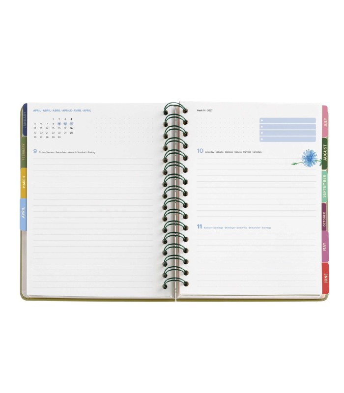 AGENDA PLUS WIRE-O DIA PAGINA ROSAE ENTREDOS 2027 MIQUELRIUS