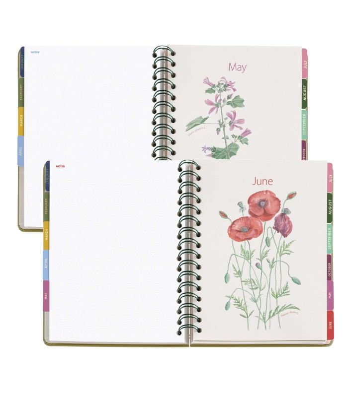 AGENDA PLUS WIRE-O DIA PAGINA JARDIN ENTREDOS 2027 MIQUELRIUS