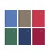 AGENDA ROMA DIA PAGINA CON ESPIRAL 15x21cm VARIOS COLORES INGRAF 2027