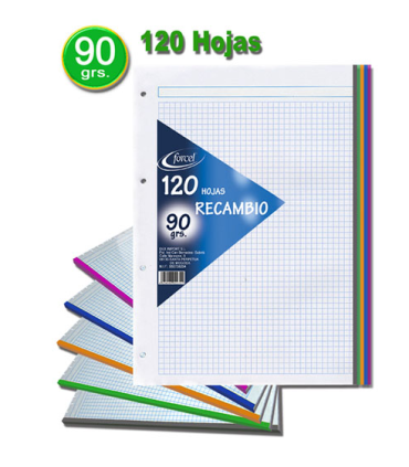 RECAMBIO A-4 PACSA 5mm 90gr  4 TALADROS 120 HOJAS