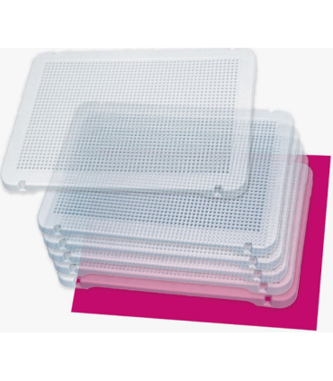 PEGS 6 PLASCAS TRANSPARENTES