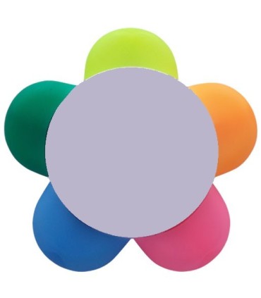 ROTULADOR FLUORESCENTE 5 COLORES FLOR
