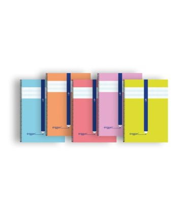CUADERNO ERIGGAN Fº ESPIRAL 4mm 80 HOJAS LAMELA