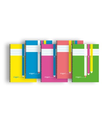 CUADERNO ERIGGAN Fº ESPIRAL TAPA PLÁSTICO 4mm LAMELA