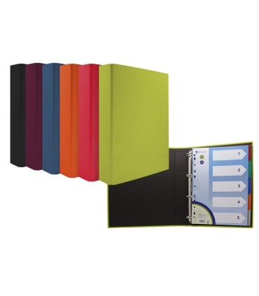 CARPETA 4 ANILLAS MIXTAS 35MM CON SEPARADOR MEDITERRANEO A-4  6 COLORES