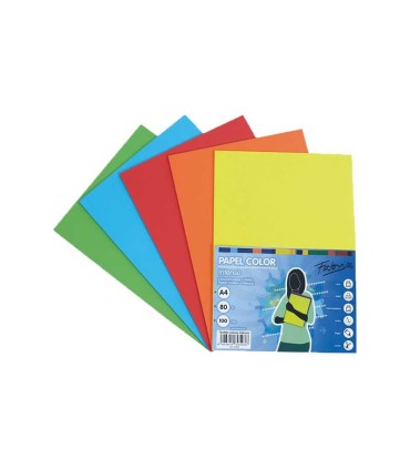 FOLIOS 100 HOJAS 80gr  COLORES INTENSOS SURTIDOS