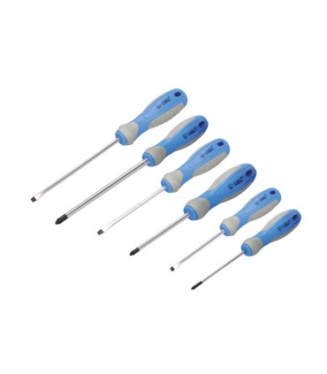 SET 6 DESTORNILLADORES - 3 PLANOS Y 3 PHILIPS GSC EVOLUTION