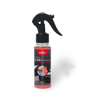 AMBIENTADOR DE COCHE EN SPRAY FRUTOS ROJOS 100 ML