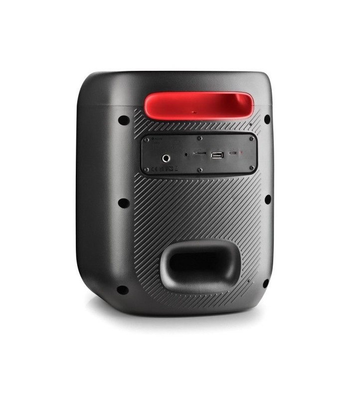 ALTAVOZ PORTATIL NGS WILDSWAG GO 80W NEGRO - 40W RMS - AUTONOMIA HASTA 10h - BLUETOOTH 5 0